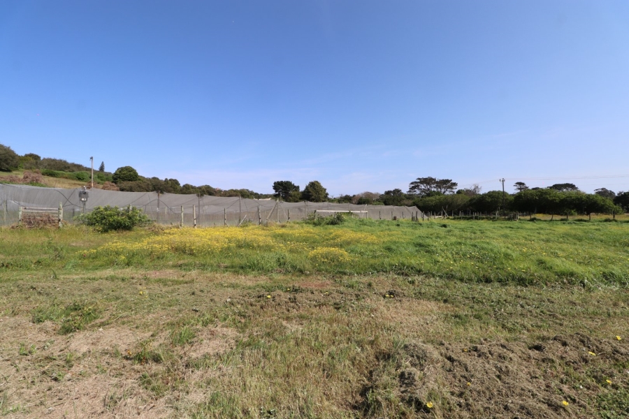 Commercial Property for Sale in Chelsea Eastern Cape